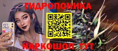 ALPHA PVP Аргун